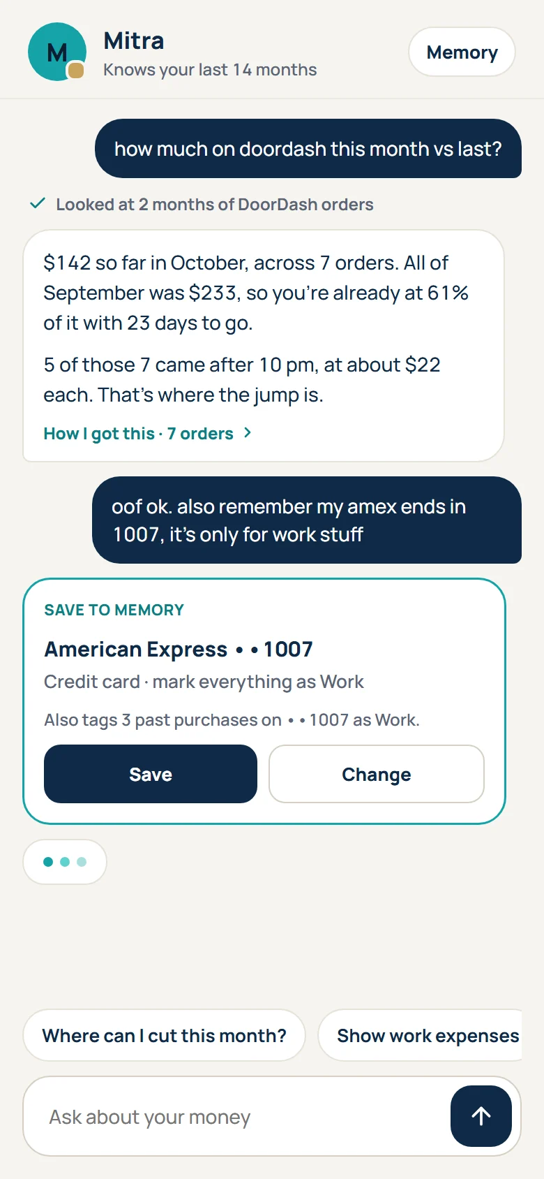 Mitra answering a spending question with exact numbers and offering to remember a card